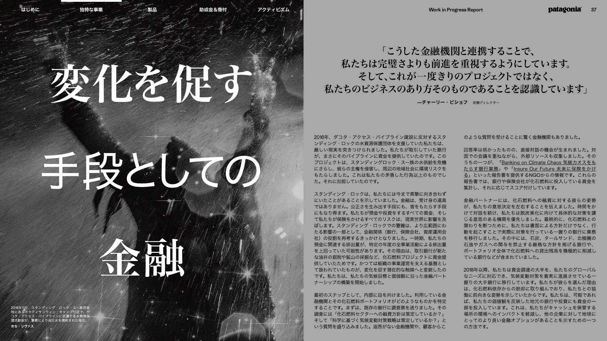 patagonia progress report 2025