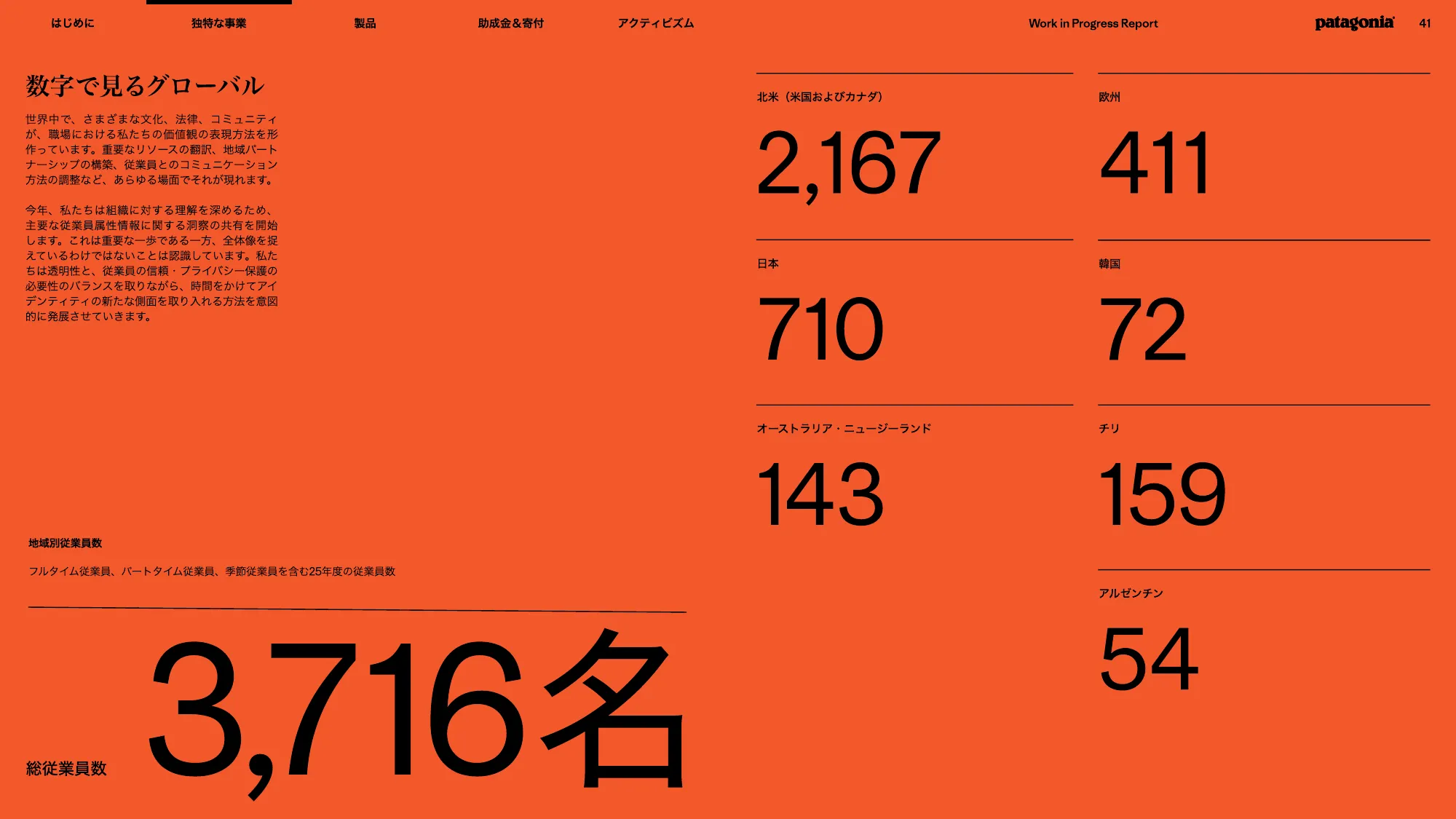 patagonia progress report 2025