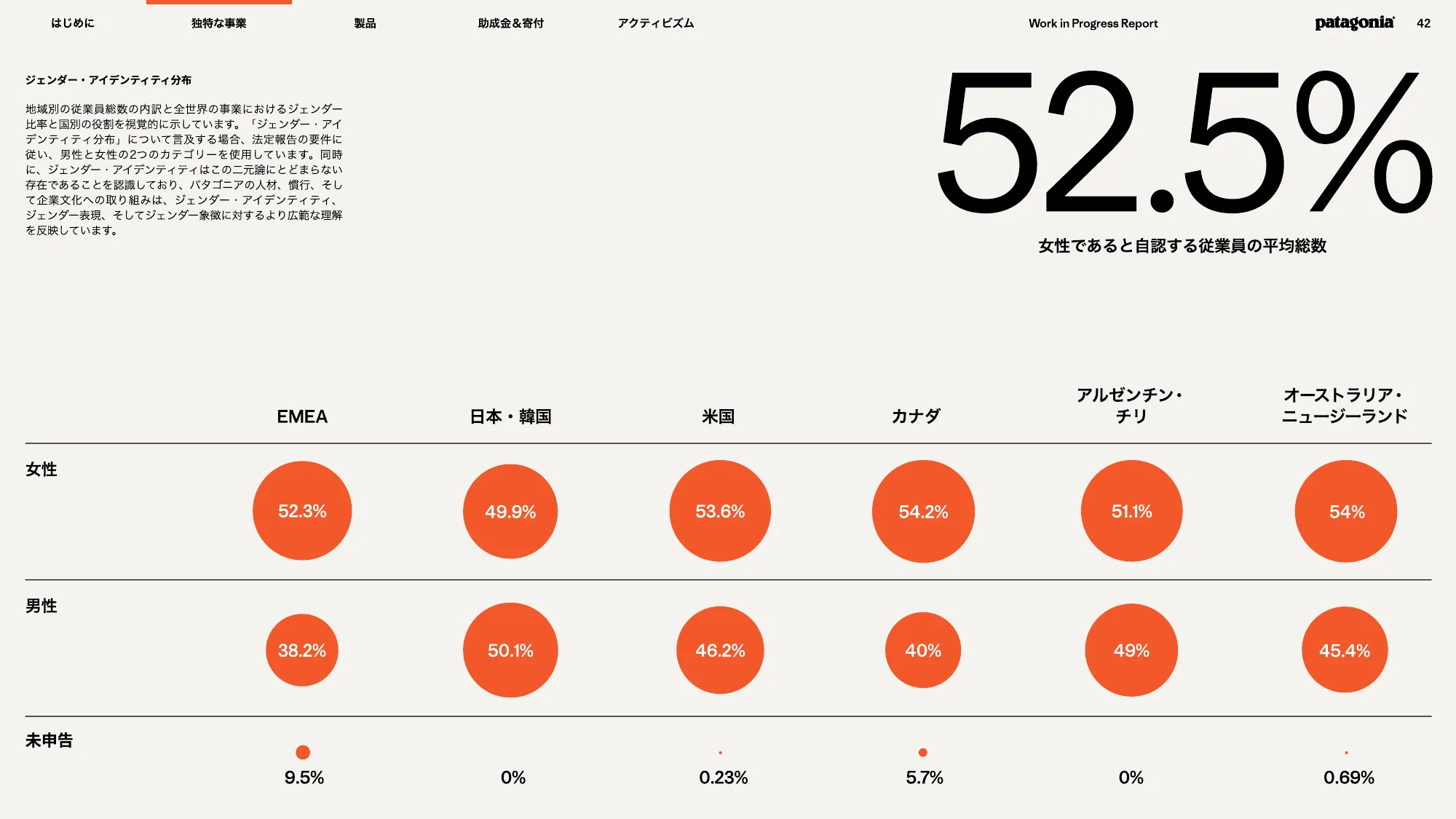 patagonia progress report 2025