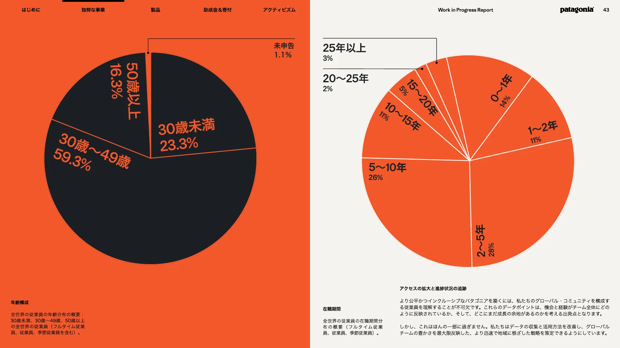 patagonia progress report 2025