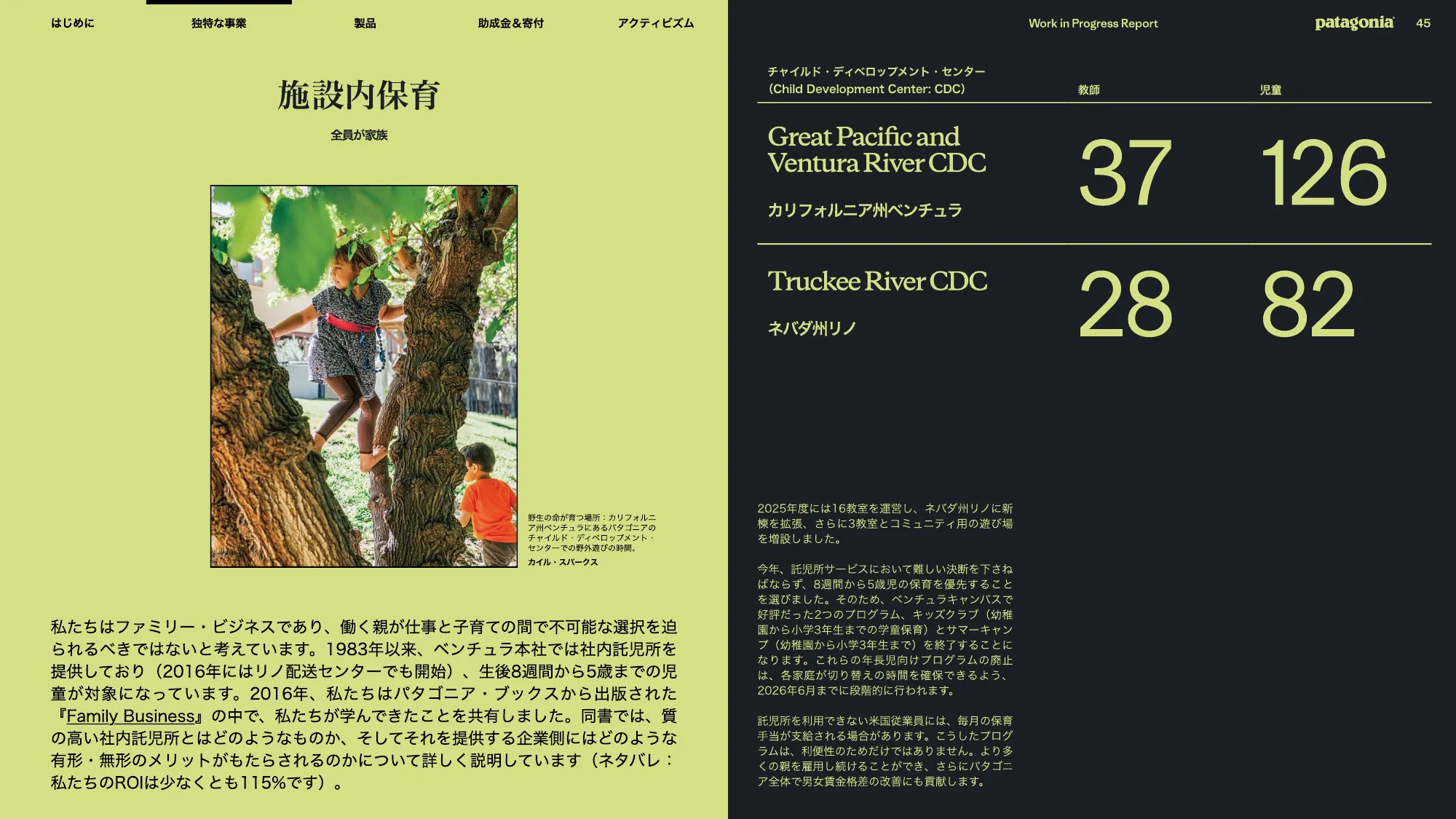 patagonia progress report 2025