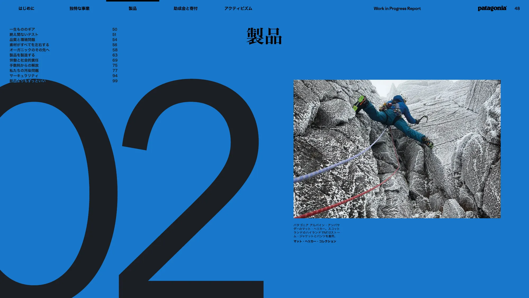 patagonia progress report 2025