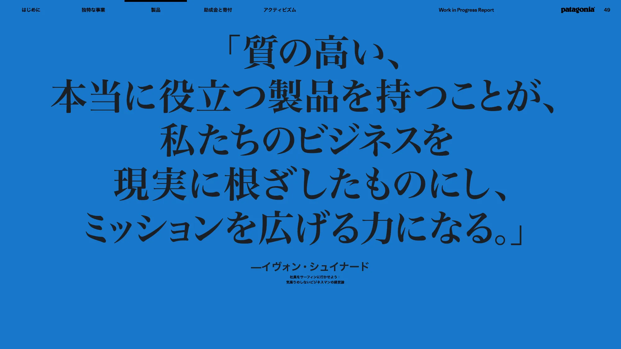 patagonia progress report 2025