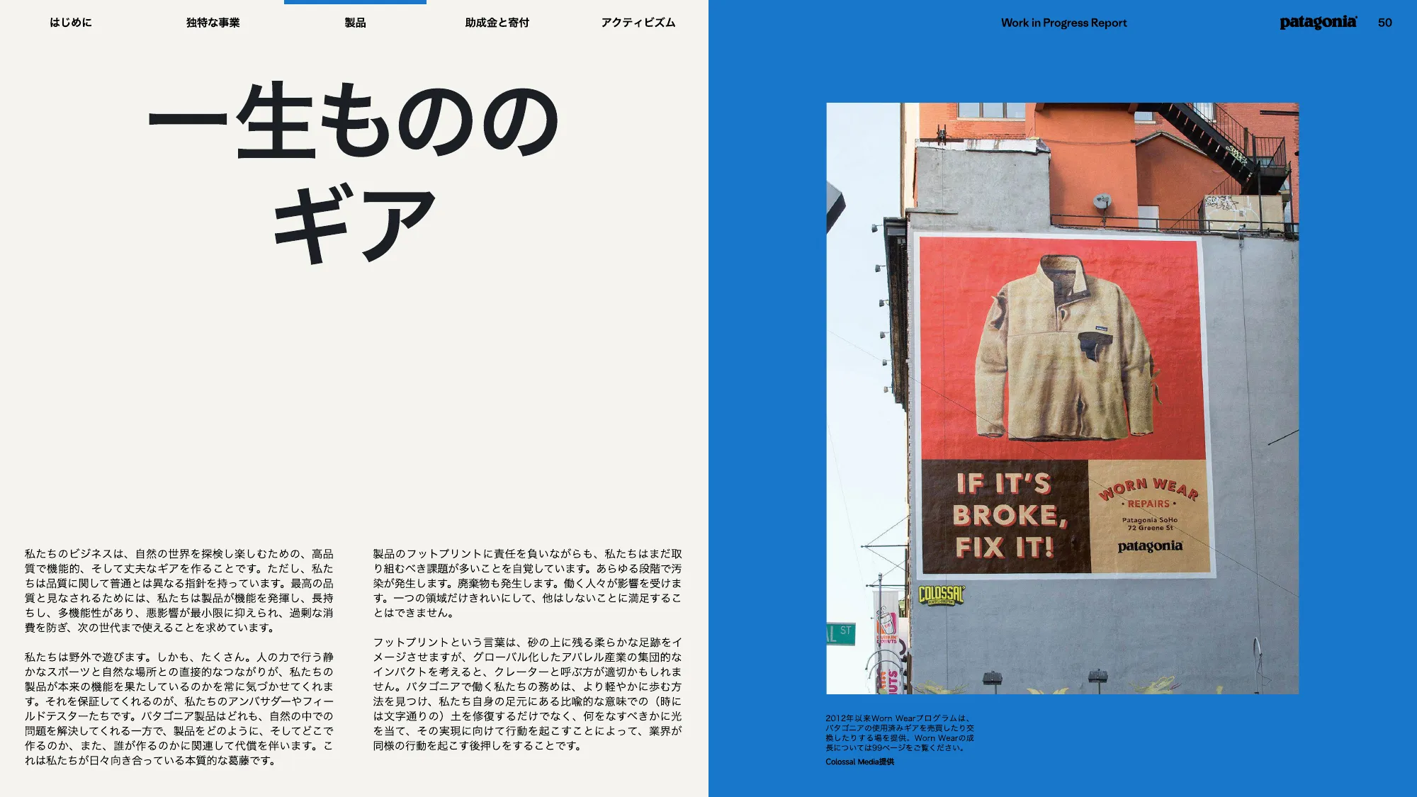 patagonia progress report 2025