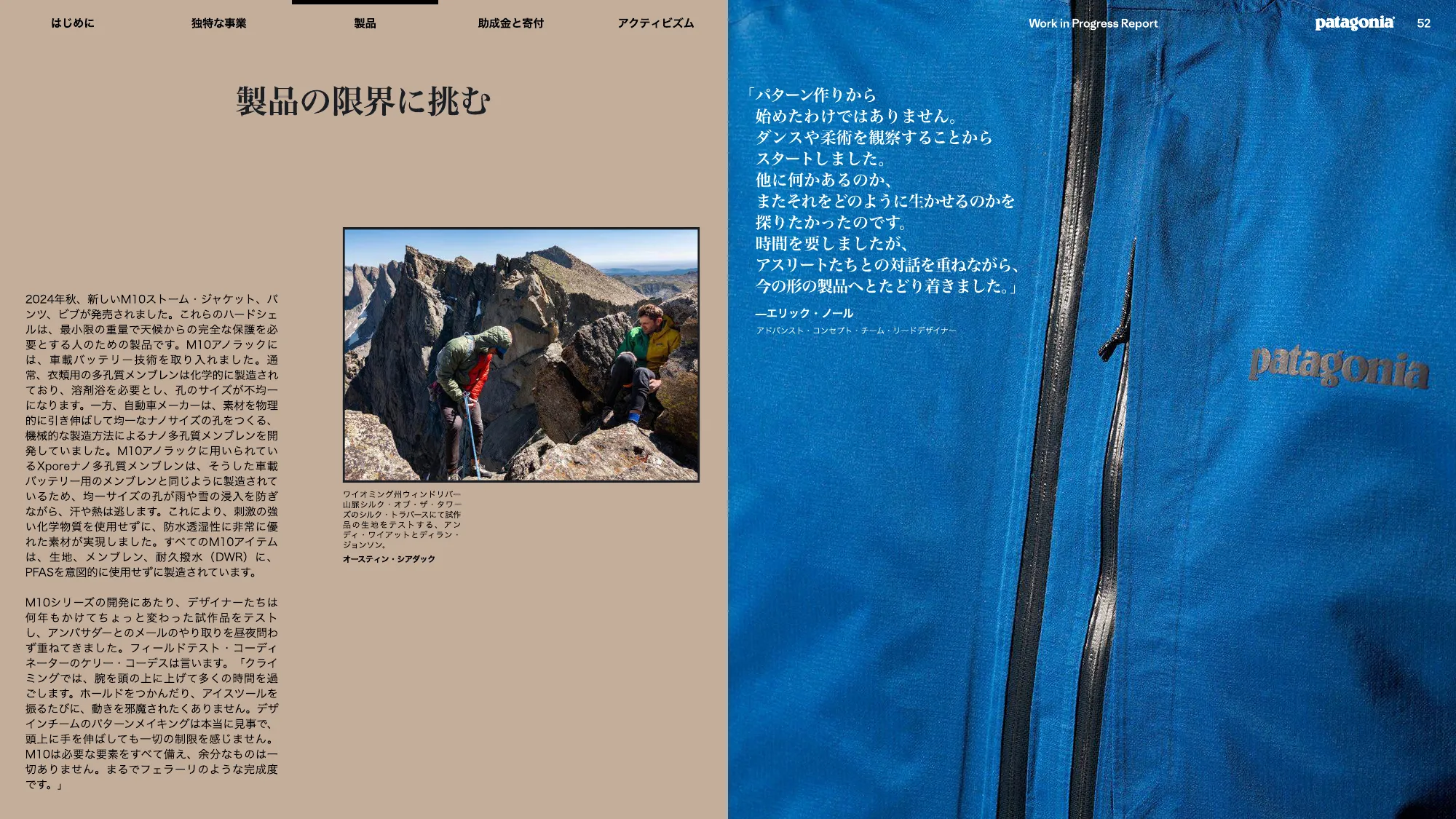 patagonia progress report 2025