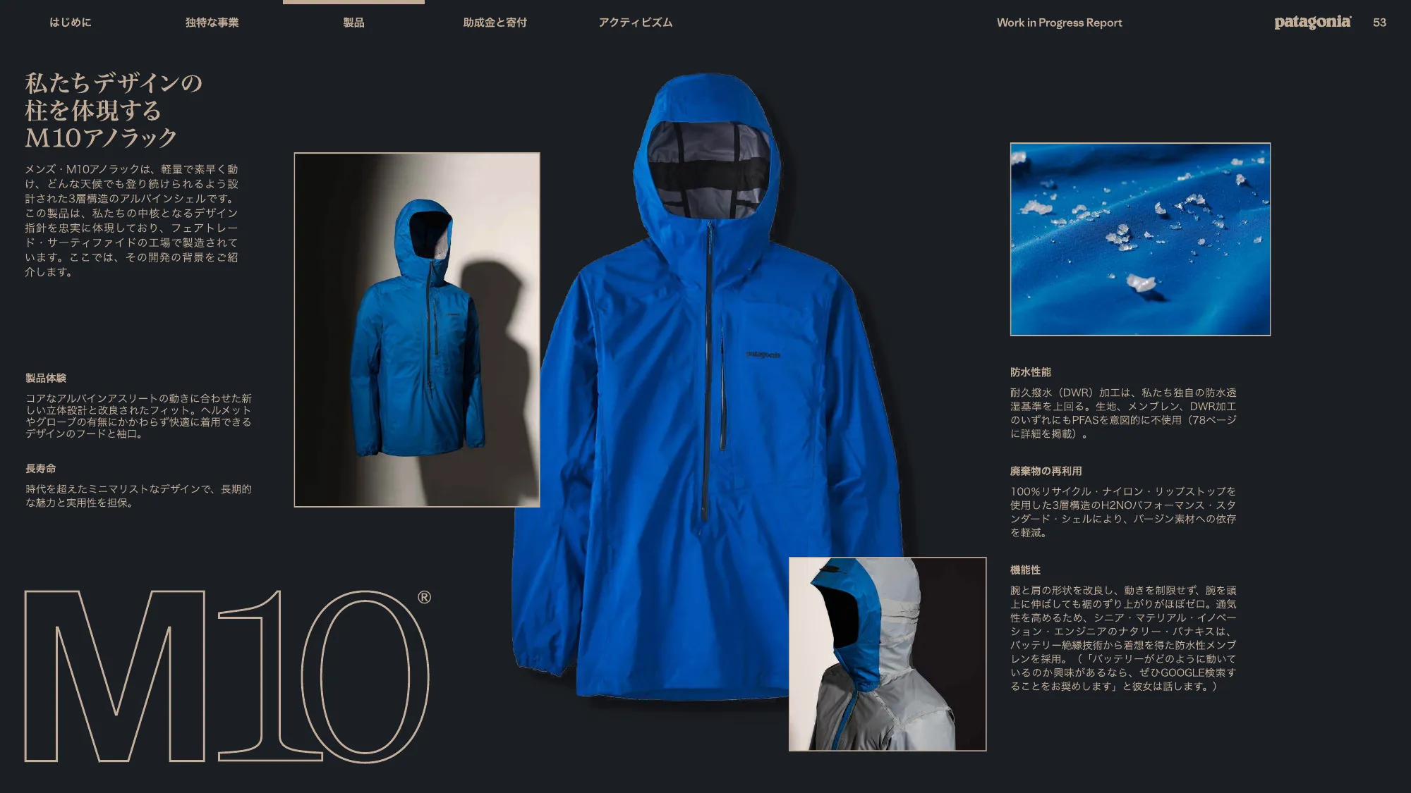 patagonia progress report 2025