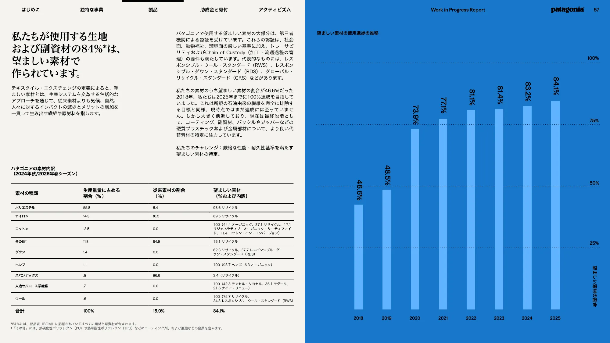 patagonia progress report 2025