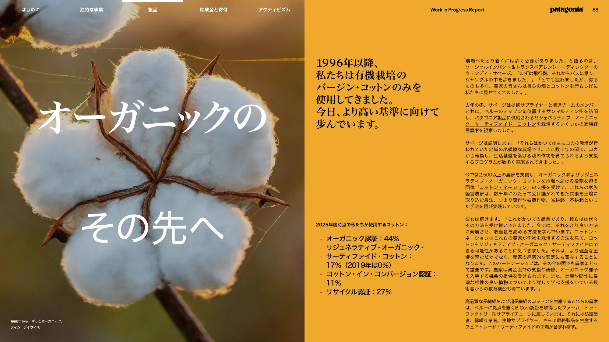 patagonia progress report 2025