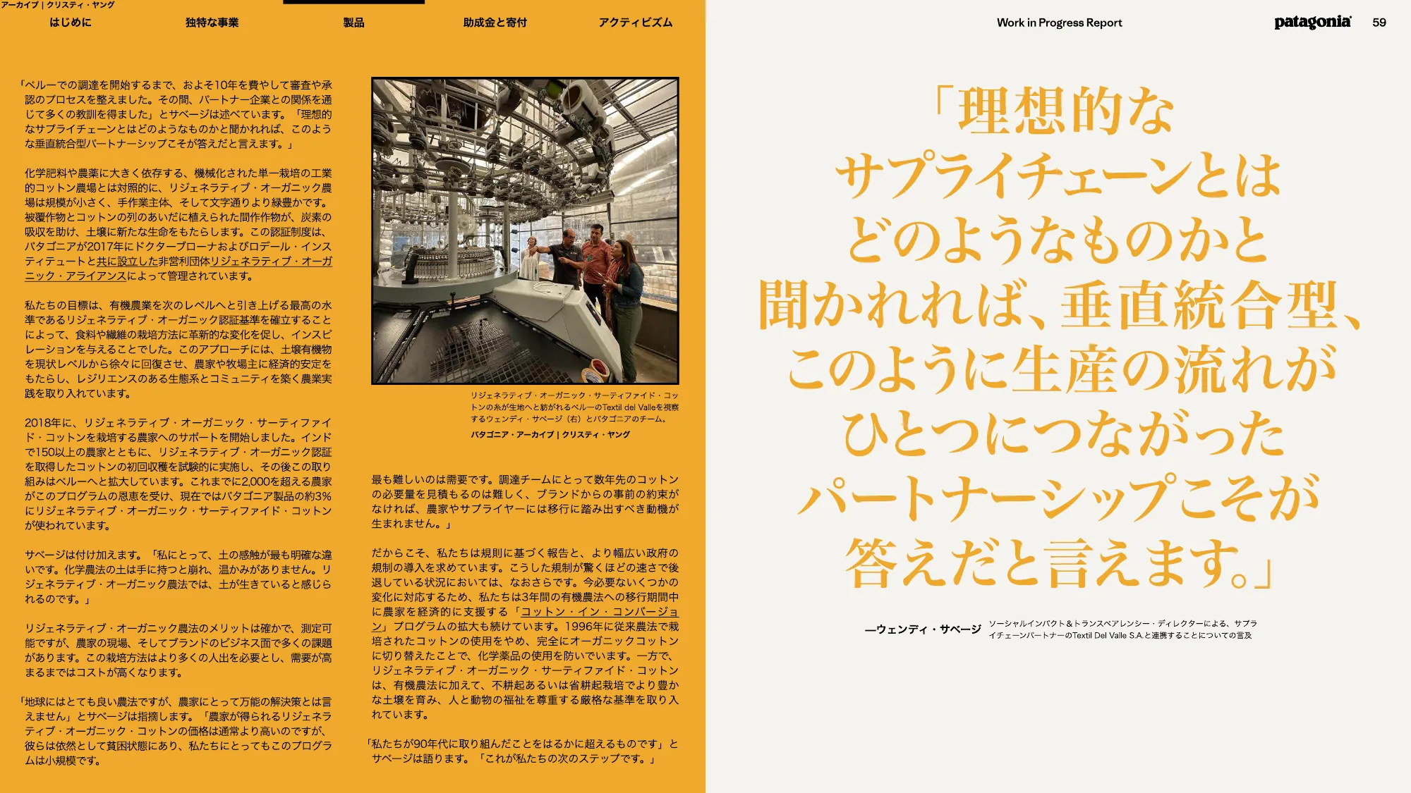 patagonia progress report 2025