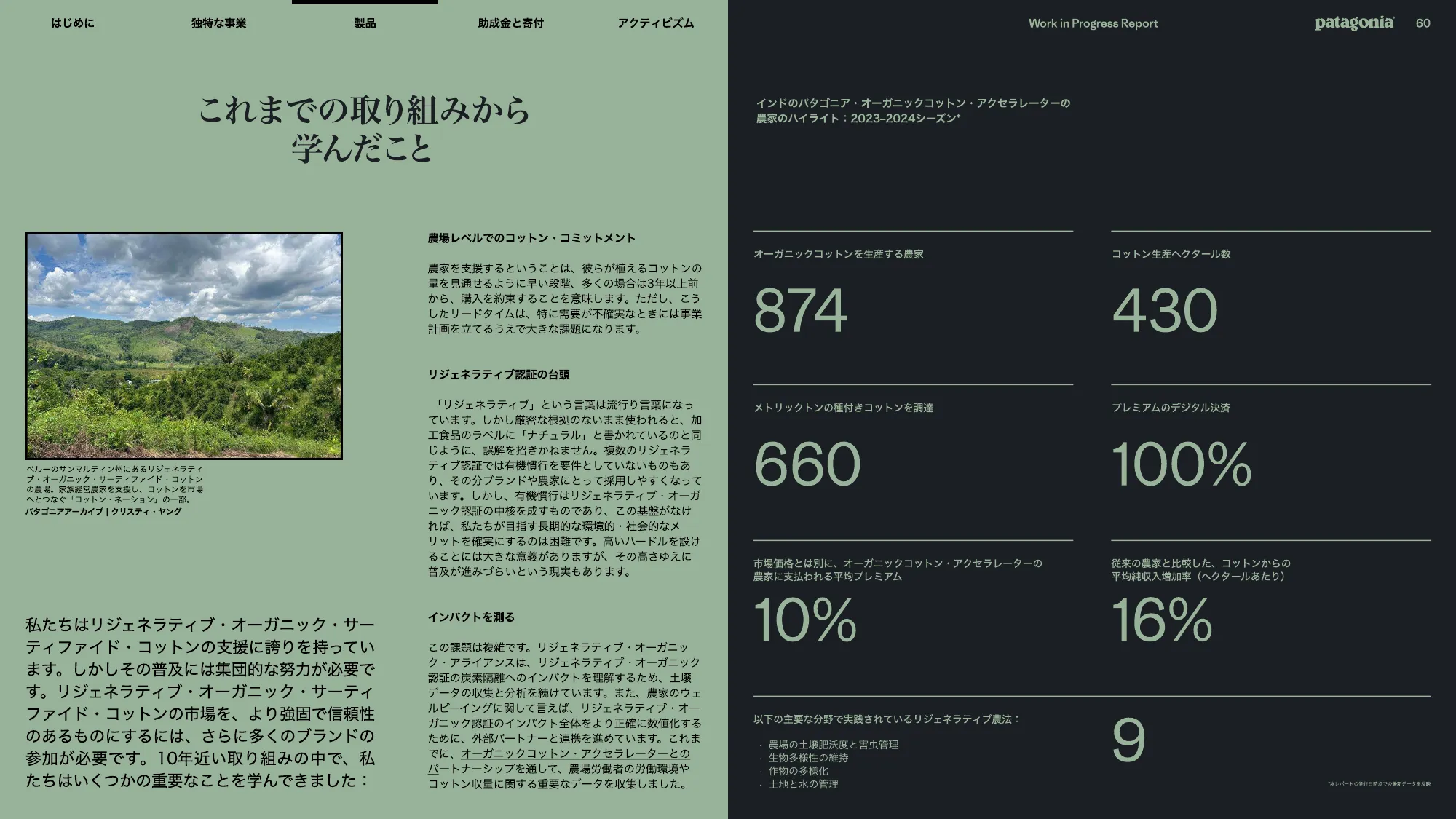 patagonia progress report 2025