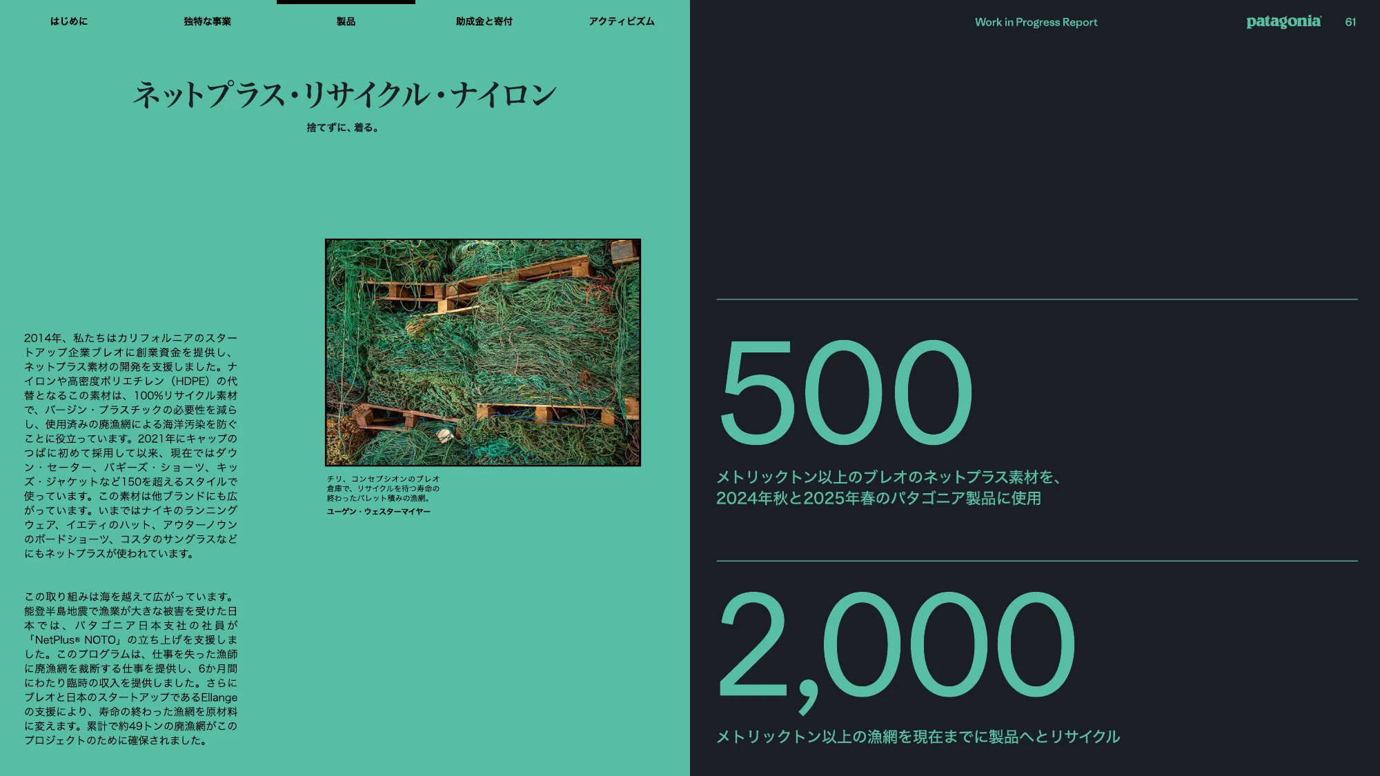 patagonia progress report 2025