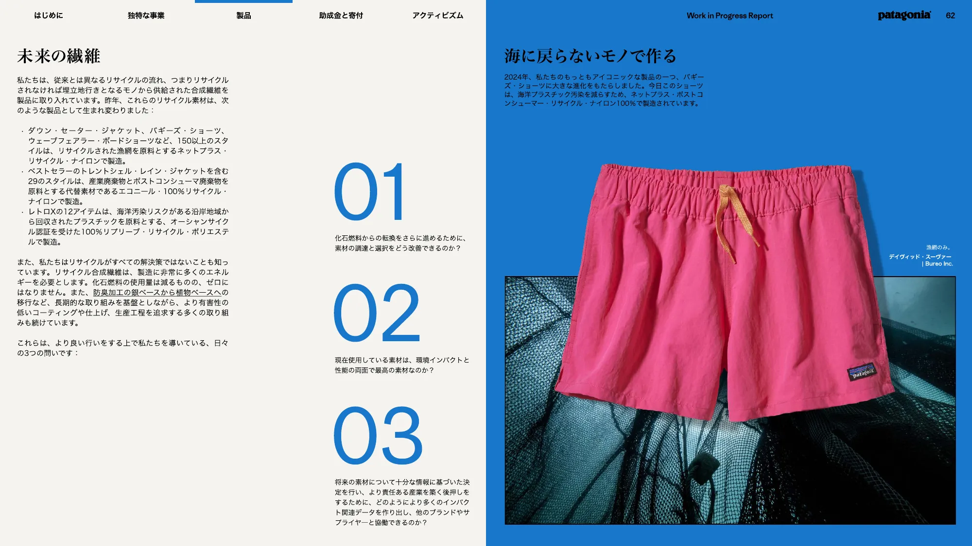 patagonia progress report 2025