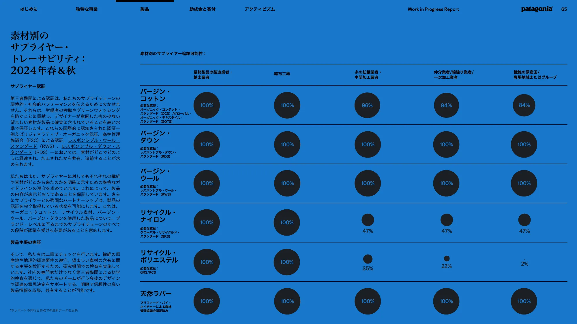 patagonia progress report 2025