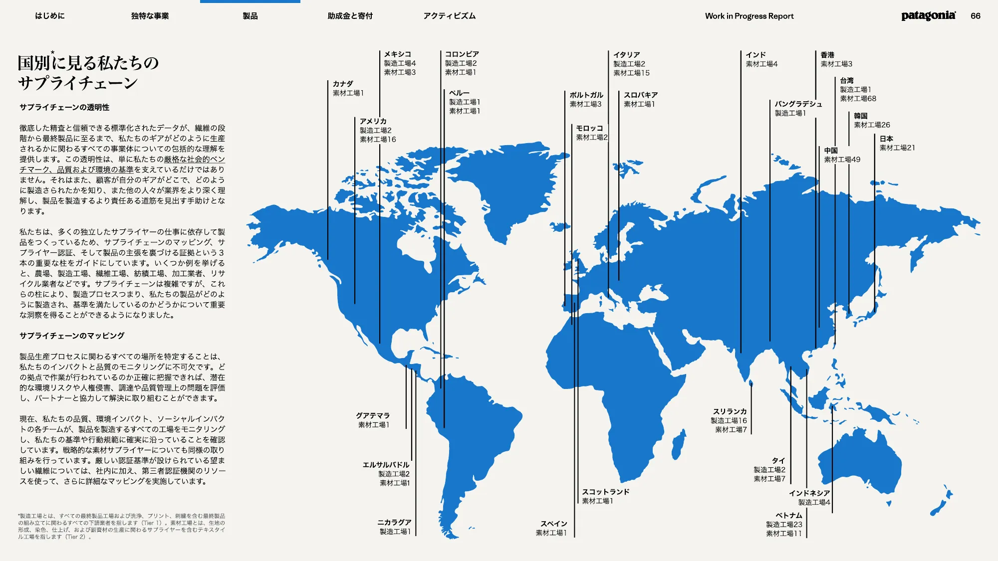 patagonia progress report 2025