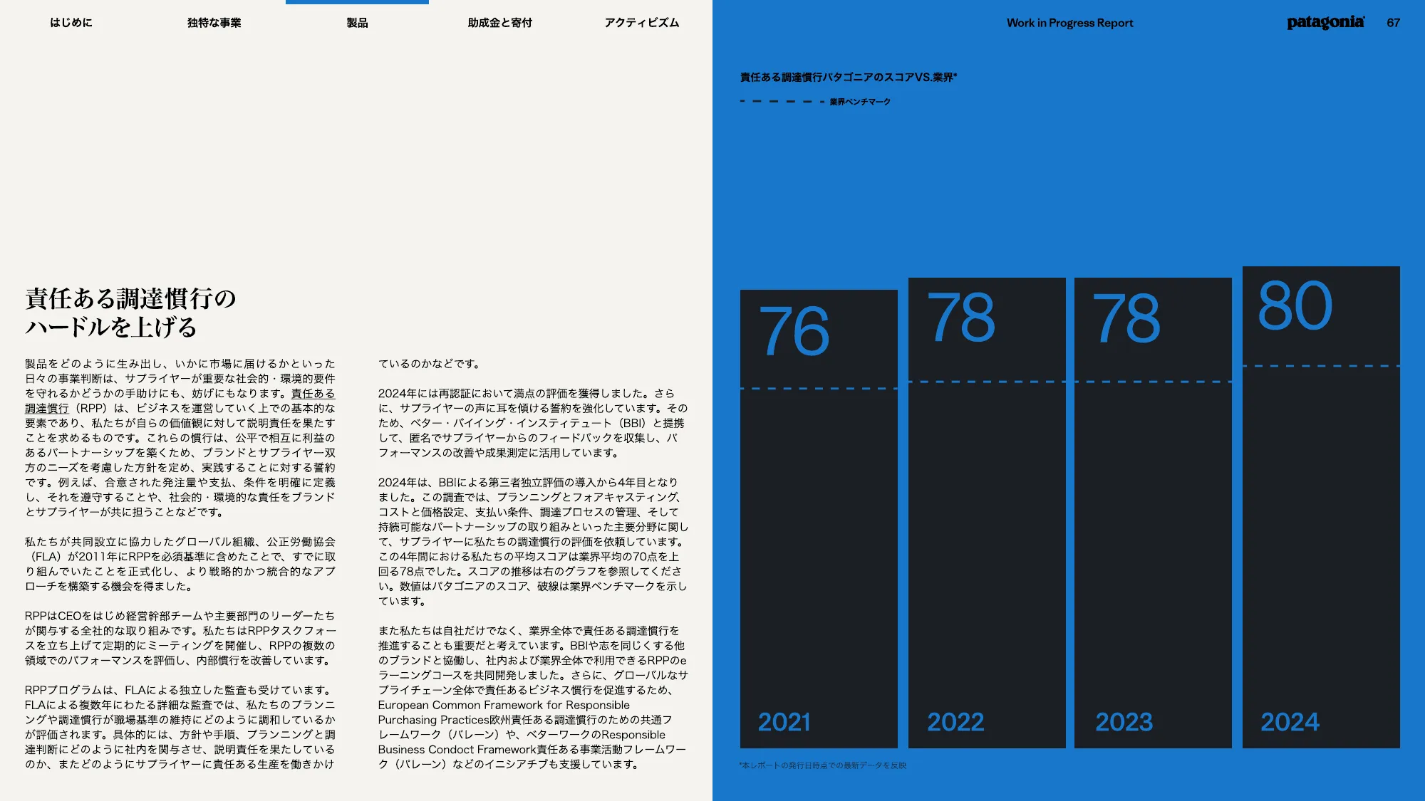 patagonia progress report 2025