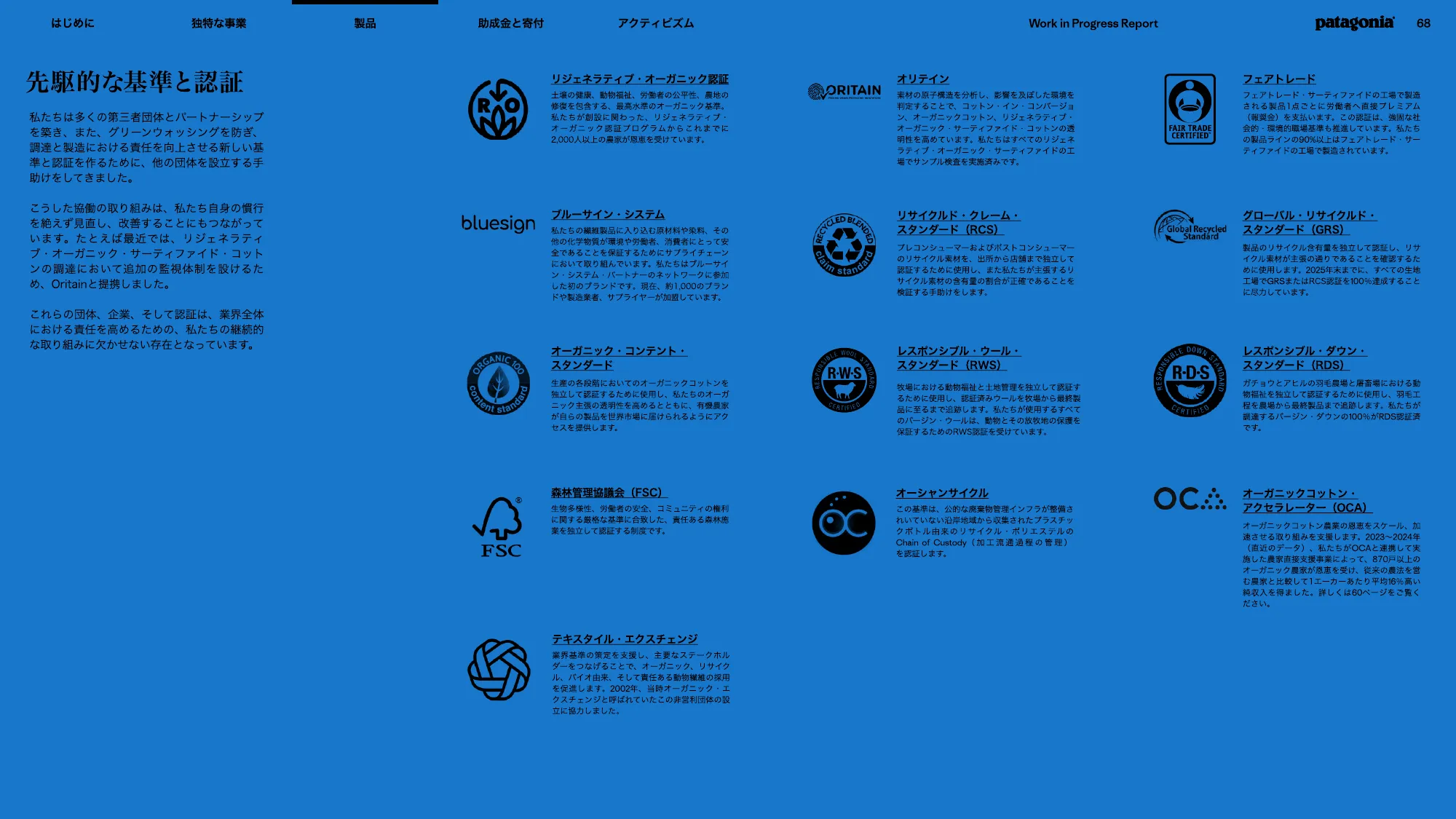 patagonia progress report 2025