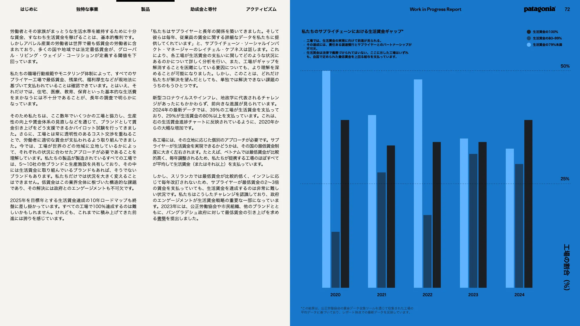 patagonia progress report 2025