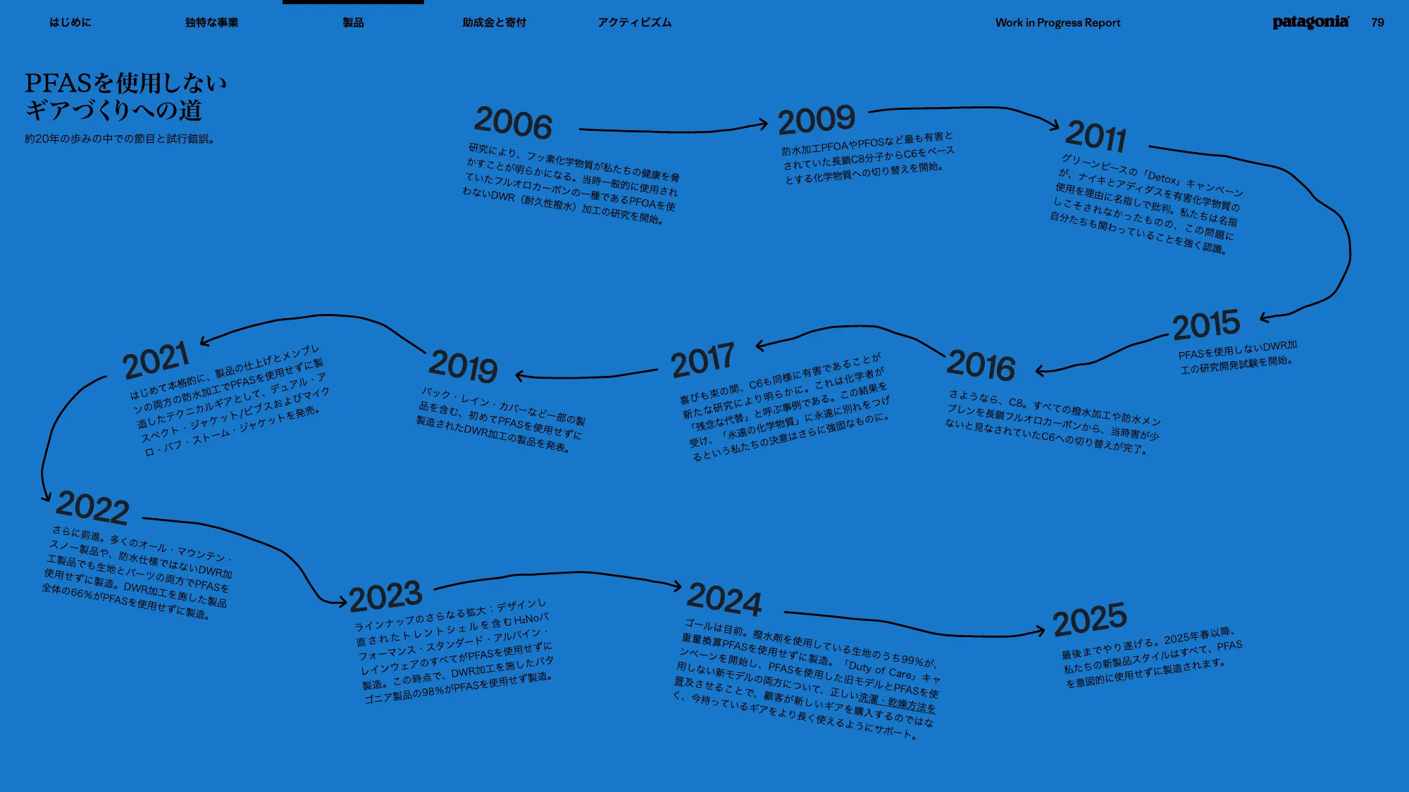 patagonia progress report 2025