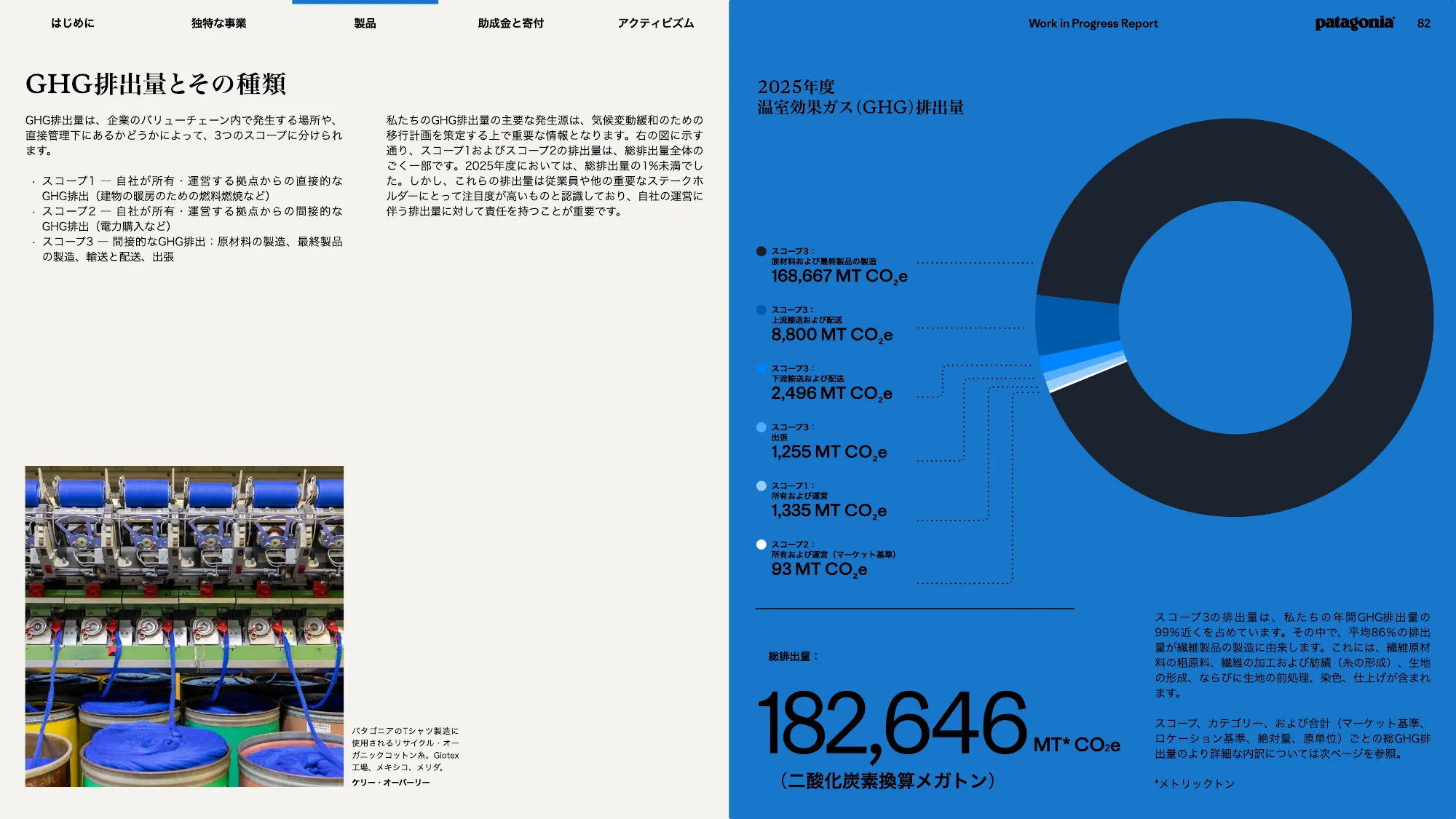 patagonia progress report 2025