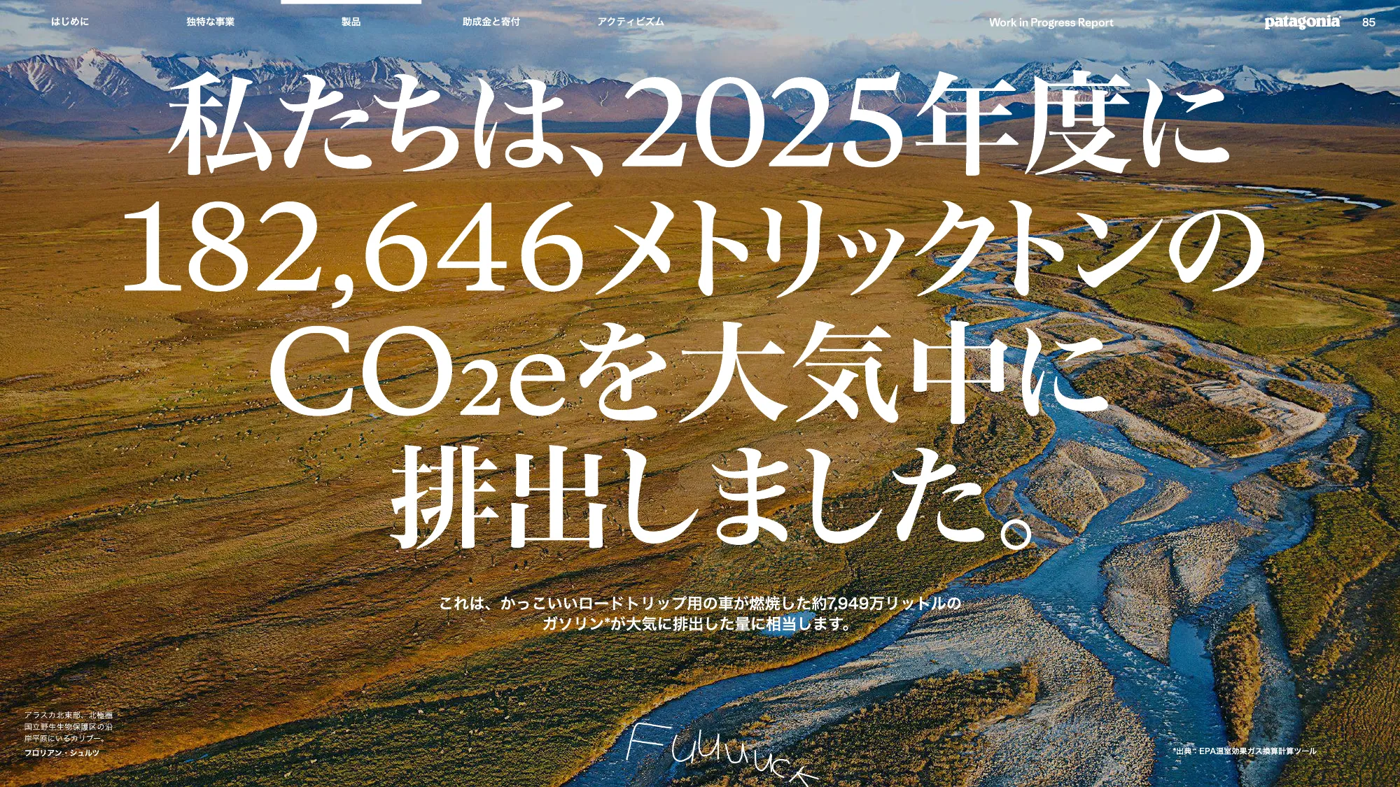 patagonia progress report 2025