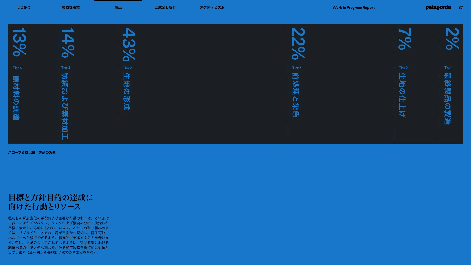 patagonia progress report 2025