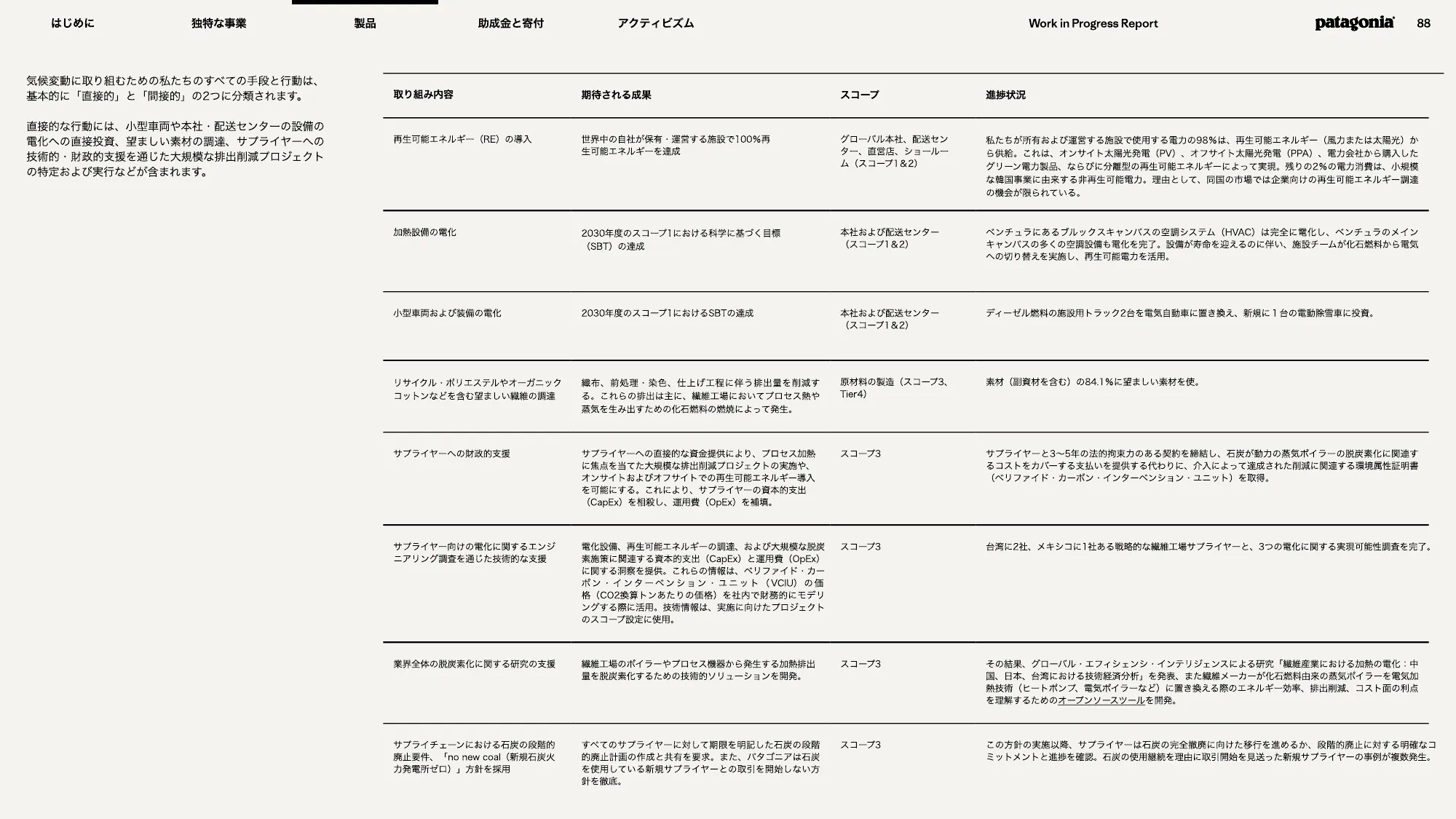patagonia progress report 2025