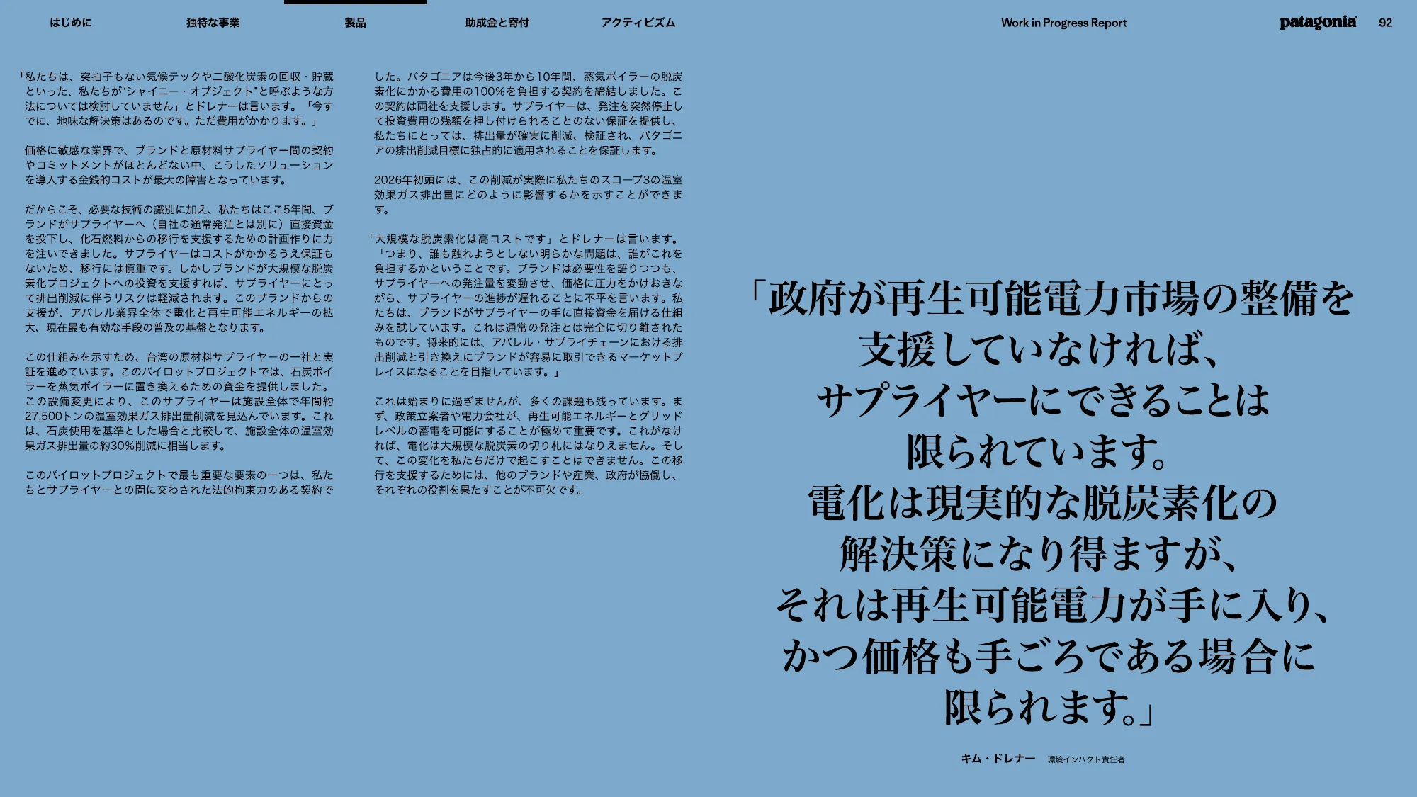 patagonia progress report 2025