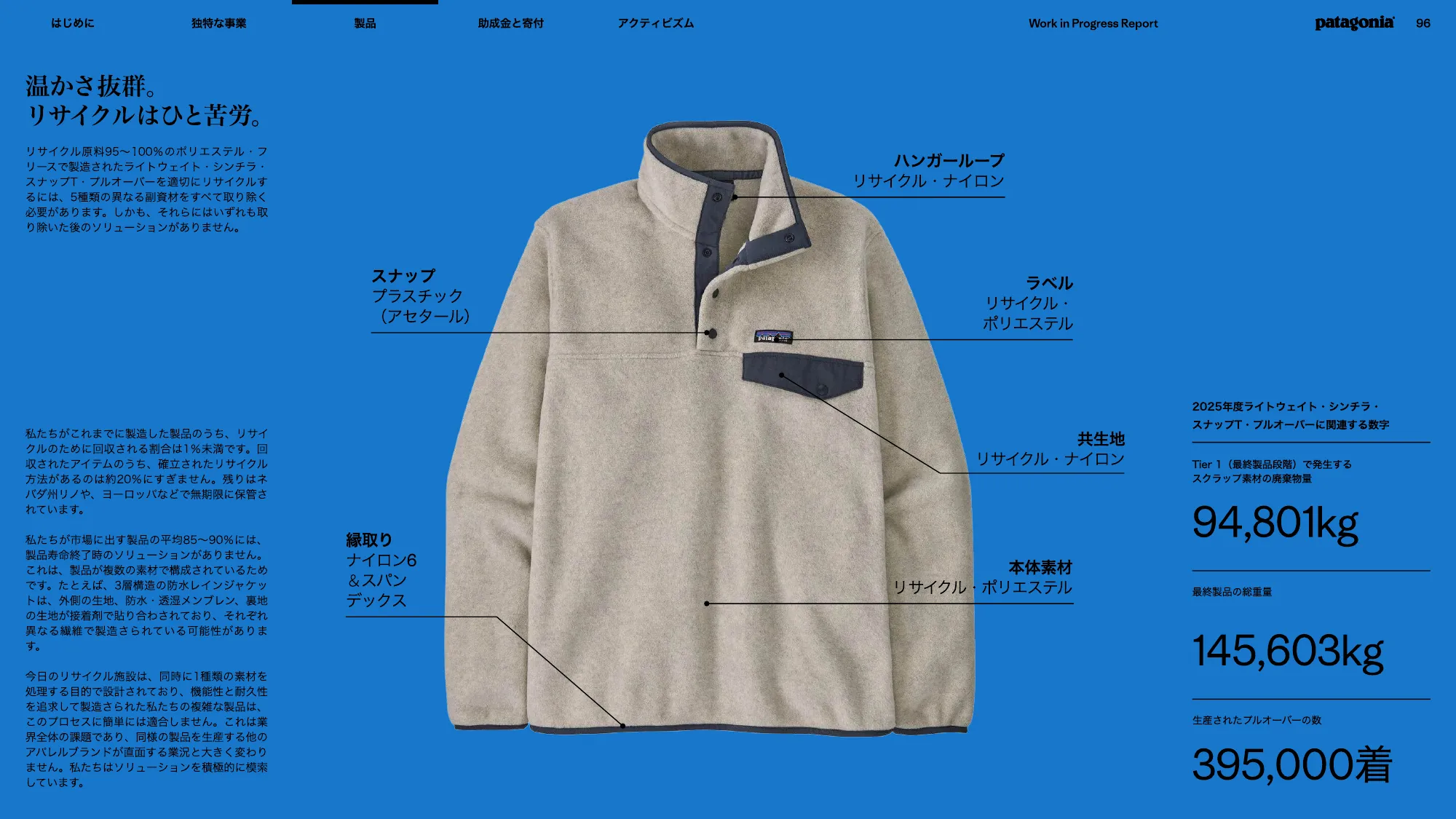 patagonia progress report 2025