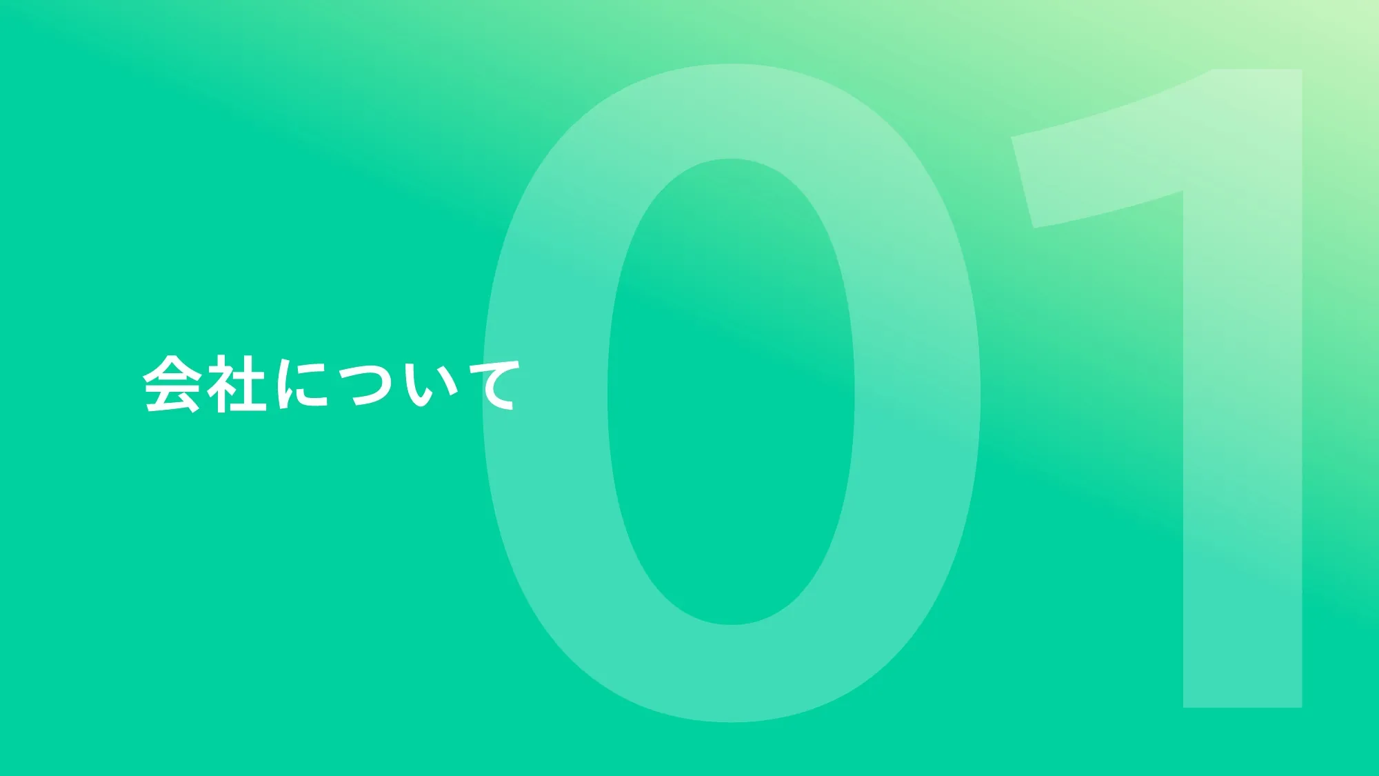 Sotas 公司介绍资料