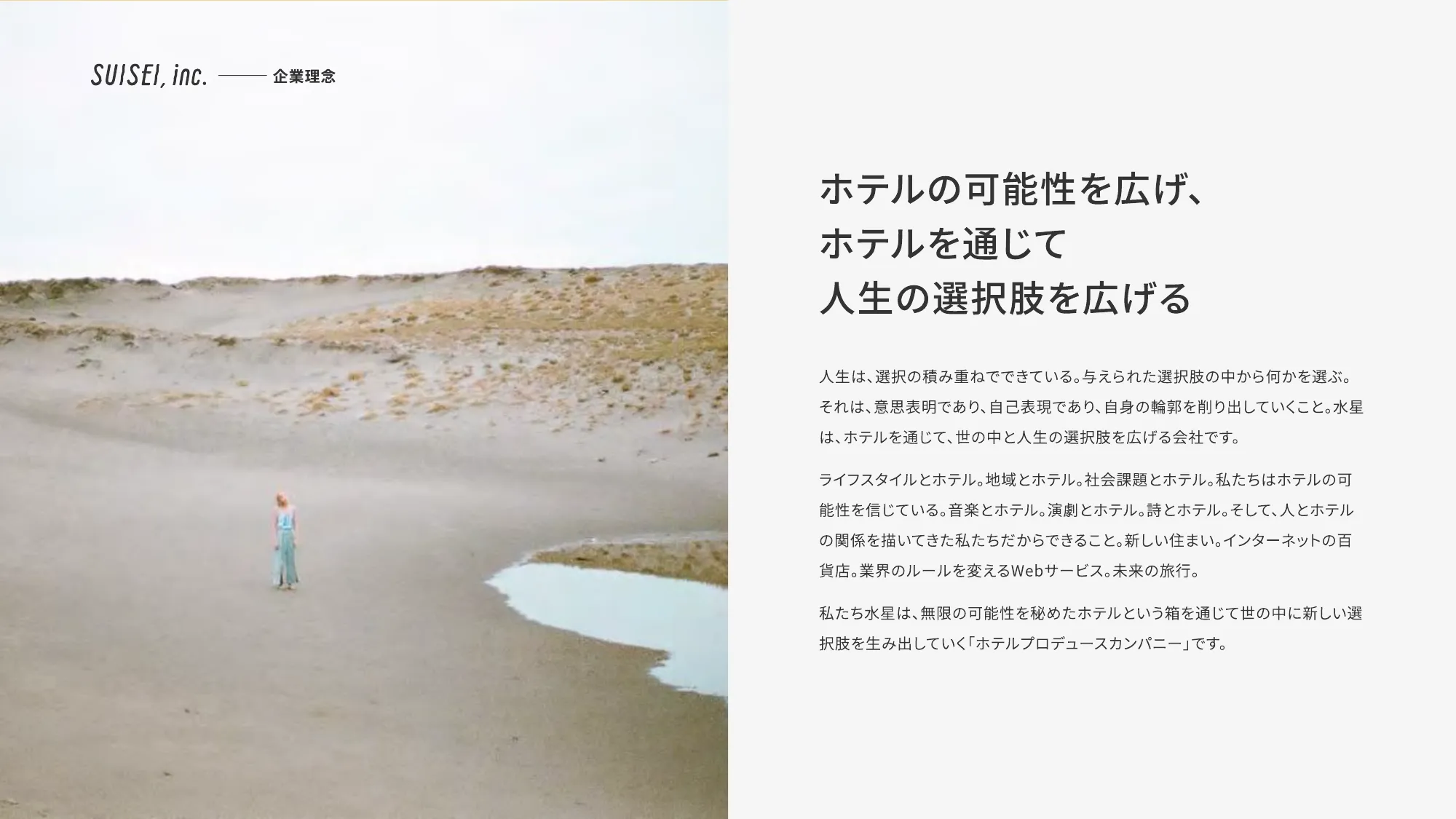 SUISEI Inc. Company Deck