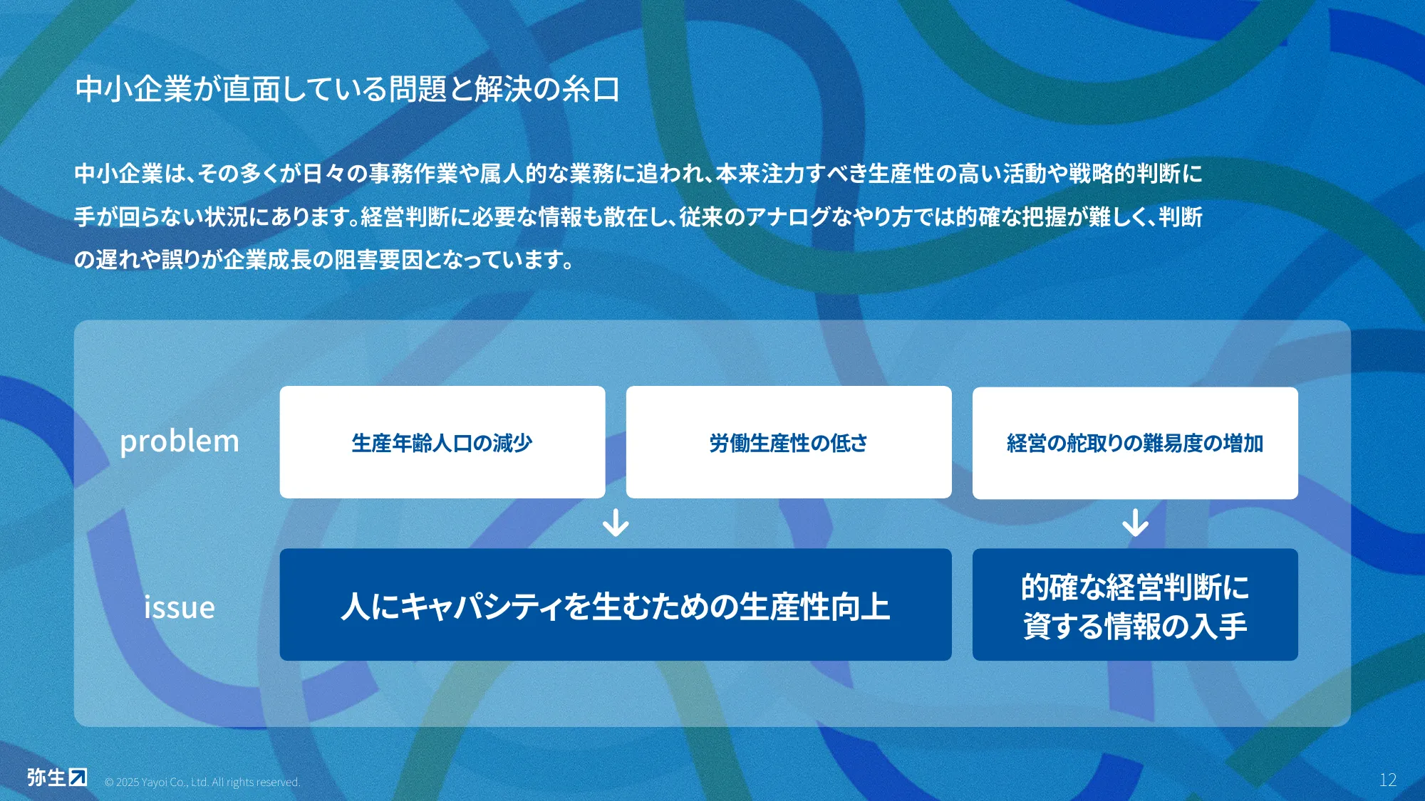 Yayoi Co., Ltd. Company Profile