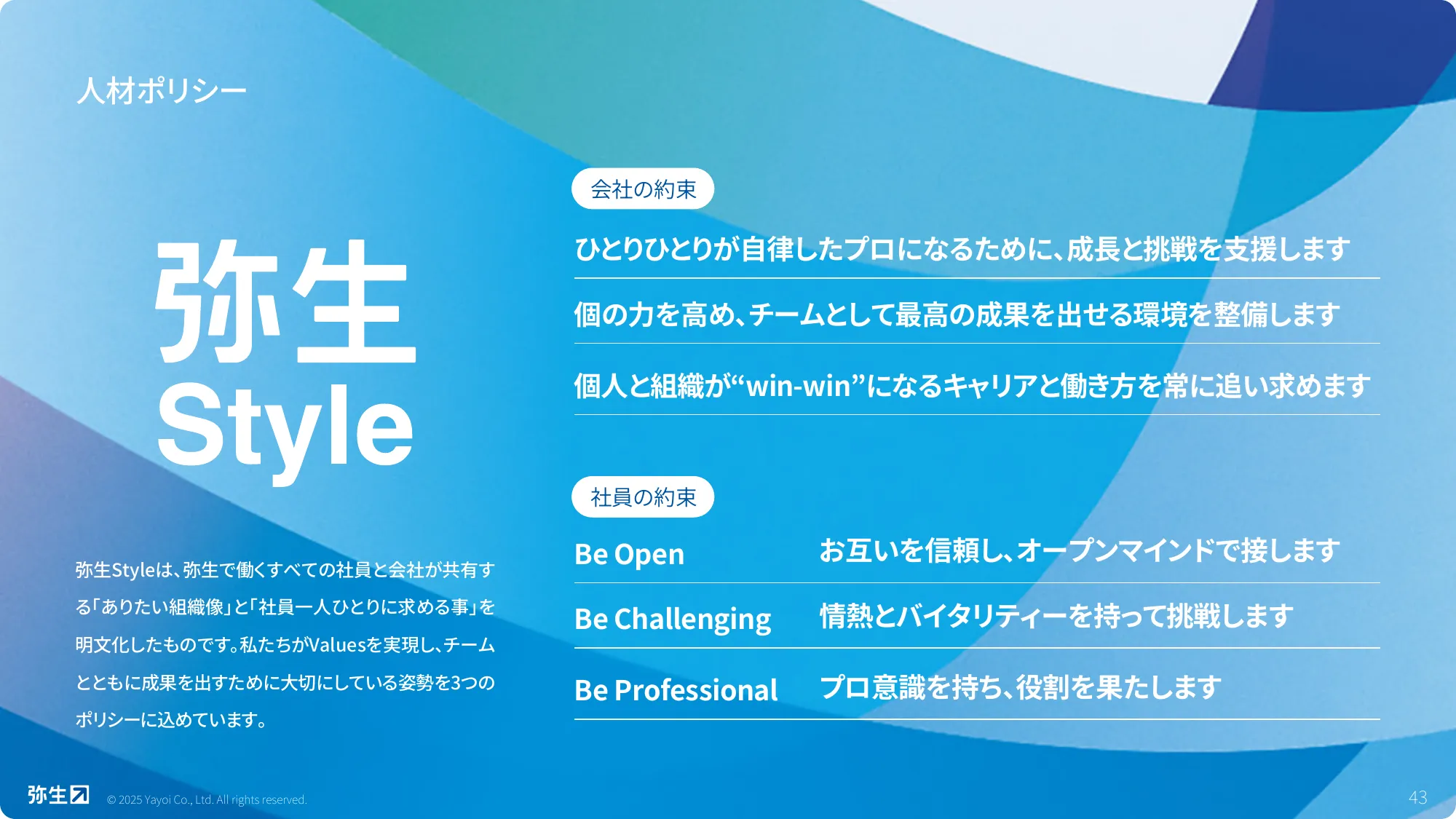 Yayoi Co., Ltd. 회사 개요