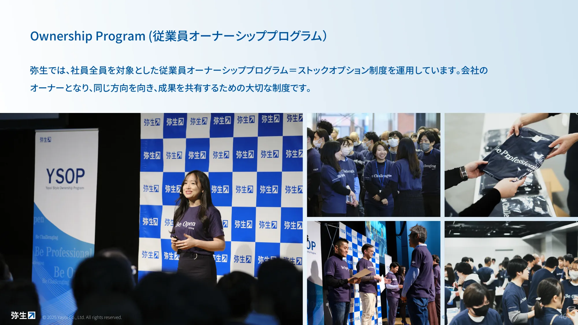 Yayoi Co., Ltd. 회사 개요